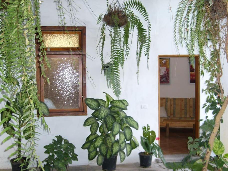Preciosa Casa Emblematatica, Piscina,Wifi Villa Santa Catalina ภายนอก รูปภาพ