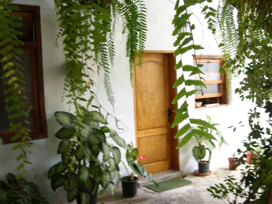 Preciosa Casa Emblematatica, Piscina,Wifi Villa Santa Catalina ภายนอก รูปภาพ